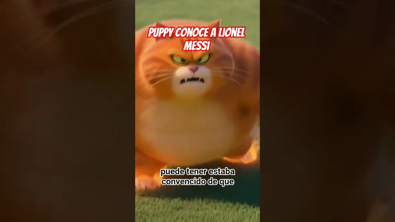 Puppy conoce a Lionel #Messi 😸 #gatos