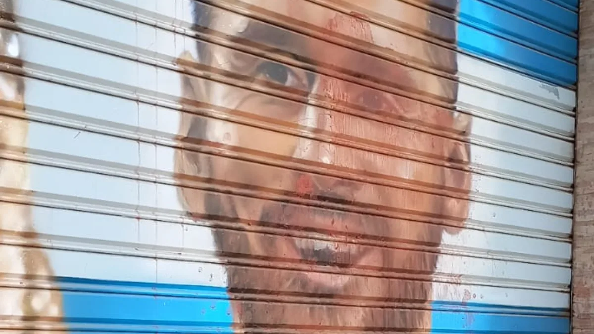 Ils ont vandalisé une murale de Lionel Messi à Luis Guillón: beaucoup de chagrin et de colère