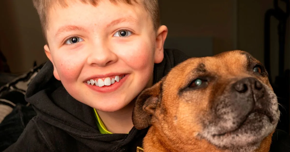 Chien écossais nommé d’après la légende du football Lionel Messi qui cherche à prendre sa retraite avec succès à Crufts